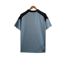 Camiseta Grêmio 23/24 Entrenamiento - Gris - Versión Aficionado