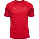 Camiseta Dinamarca 22/23 I de Local - Versión Aficionado
